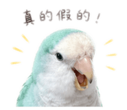 843726504