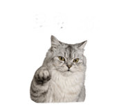 843727419