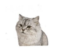 843727426