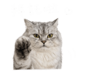 843727432
