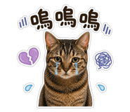 843727818