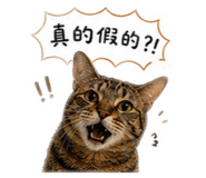 843727825