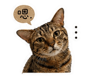 843727827