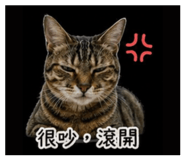 843727967