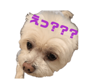 843728145