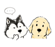 843728570