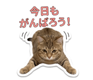 843728591