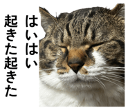 843728806