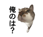 843728811
