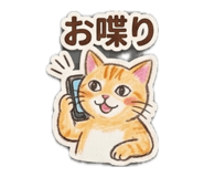 843728851