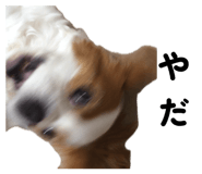 843729006