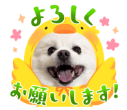 843729135
