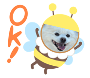 843729137