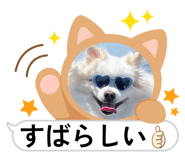 843729143