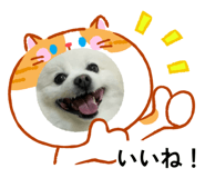 843729144