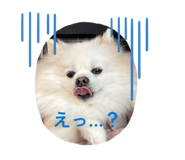 843729154