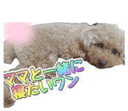 843729539