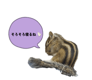 843729821