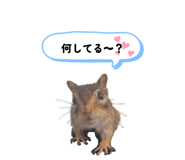 843729823