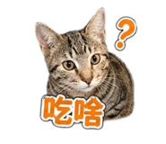 843729867