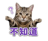 843729877