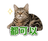 843729881