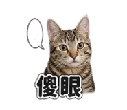 843729885