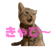 843730027