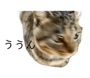 843730035