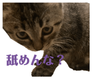 843730046