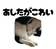 843730270