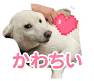 843730465