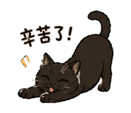843730581