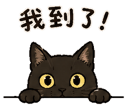 843730584