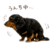 843731123