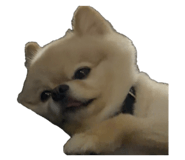843731917