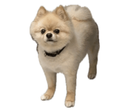843731919