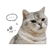 843732087