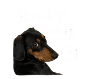 843732810