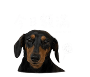 843732812