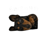 843732817