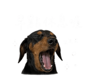 843732819
