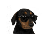 843732822