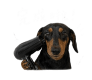 843732823