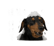 843732824
