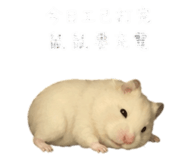 843732960