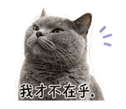 843732972
