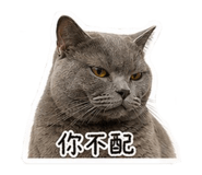 843732980