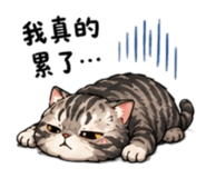 843733225