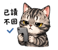 843733226